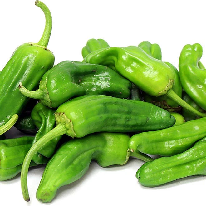 Padron