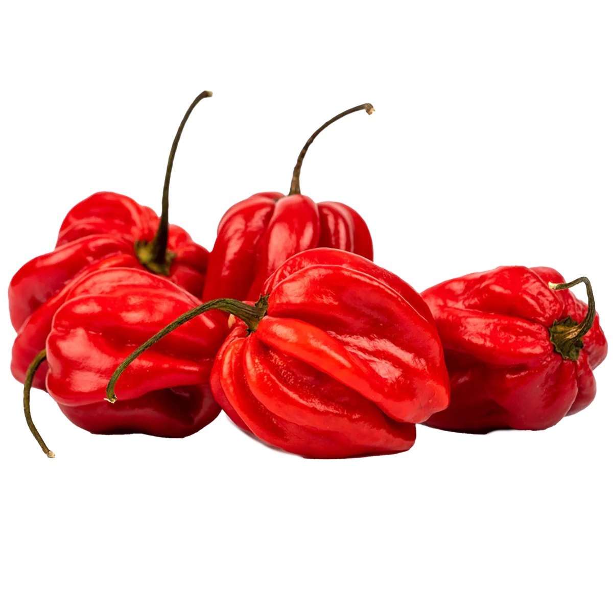 Habanero