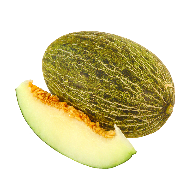 Piel de Sapo