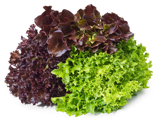 Trio Head Lettuce