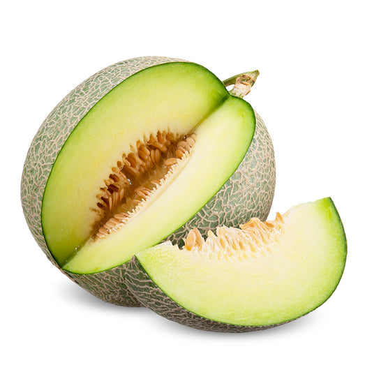 Honeydew Melon