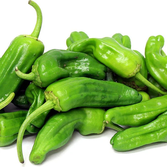 Padron