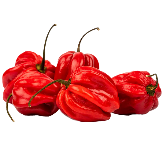 Habanero