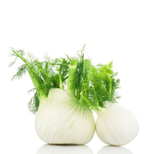 Fennel