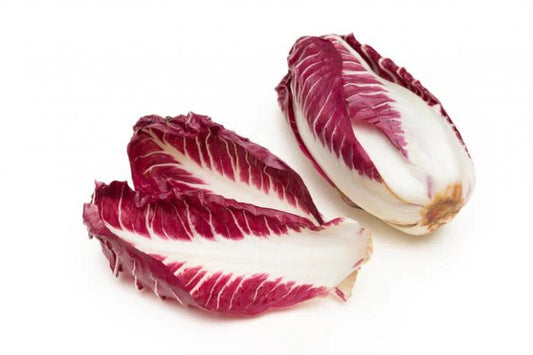 Red Chicory