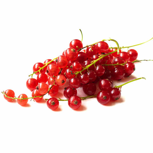 Red currants