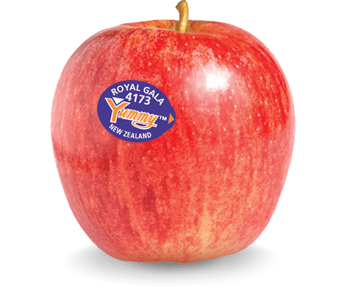 Royal Gala Apples