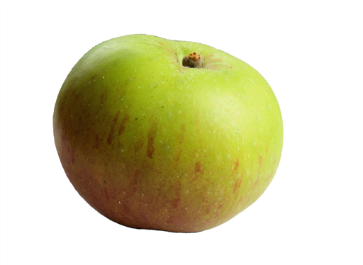Cooking Apples