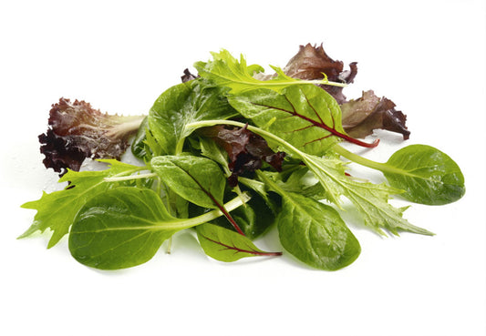Mixed Leaves Baby