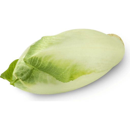 Chicory