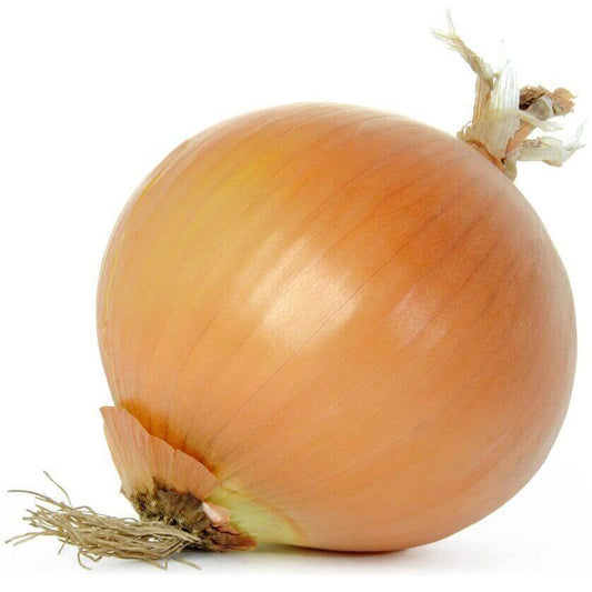 Spanish Onions