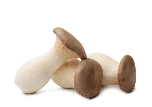 King Oyster Mushrom
