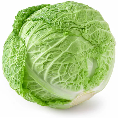 Savoy Cabbage