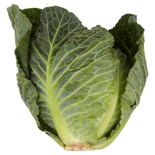York Cabbage