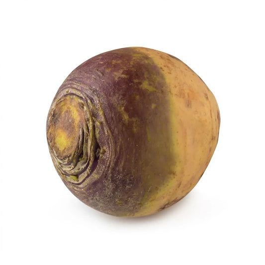 Turnip