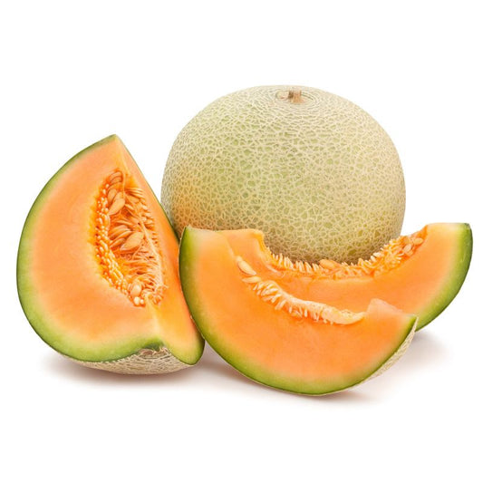 Cantaloupe Melon