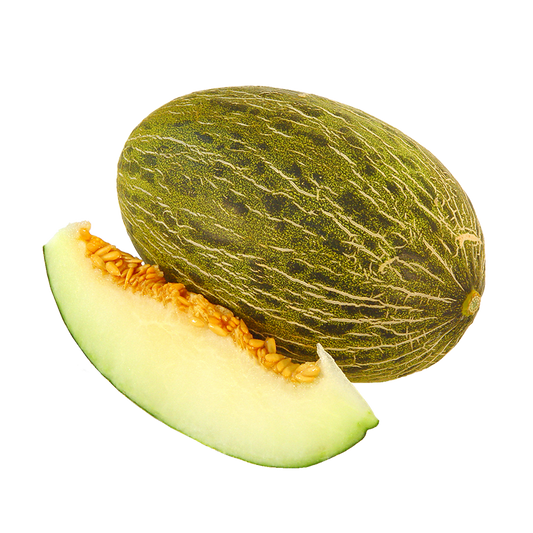 Piel de Sapo